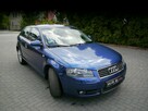 Audi A3 1.6mpi Stan Idealny 100%bezwypadkowy z Niemiec Gwarancja 12mcy 1właść - 11