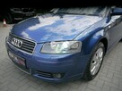Audi A3 1.6mpi Stan Idealny 100%bezwypadkowy z Niemiec Gwarancja 12mcy 1właść - 13
