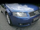 Audi A3 1.6mpi Stan Idealny 100%bezwypadkowy z Niemiec Gwarancja 12mcy 1właść - 14