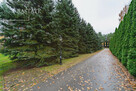 Działka budowlana Wiktorów gm. Leszno, Leśna - 4