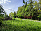 Działka budowlana Adamów-Wieś gm. Radziejowice, - 5