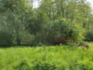 Działka budowlana Adamów-Wieś gm. Radziejowice, - 8