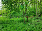 Działka budowlana Adamów-Wieś gm. Radziejowice, - 9