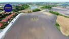 Działka 1563 m² – Brześć Kujawski, idealna pod dom - 4