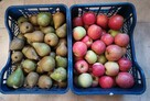 Owoce do biura żyrardów cena 1,50 zł. - 12