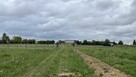 Lipienice Dolne k Szydłowca działki budowlane 1051m2, 1081m2 - 3