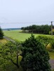 Działka Budowlana 1,10ha Radzyń Podlaski - 3