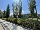 Mieszkanie Wrocław Stare Miasto, Stare Miasto, Kępa Mieszczańska - 2