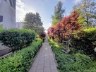 Mieszkanie Wrocław Krzyki, Huby, Przestrzenna - 9