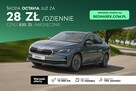 Škoda Octavia Edition 130 Selection 1.5 TSI 150 KM DSG - 3