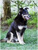 Borys – nie dla niego luksusy, wystarczy kochający opiekun - 3