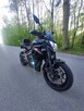Kawasaki ER6n - 6