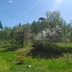 Malownicze siedlisko gm. Narew Gradoczno 3400 m2 - 5