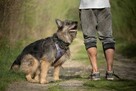 Deizi – duża, piękna dama szuka kochającego domu - 7