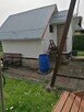 Działka ogrodowa - 5