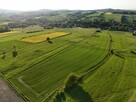 Działka rolka POMOCNE 3,25 ha - 8