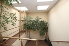Lokal użytkowy Świdnica, Centrum - 9