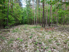 Działka inwestycyjna Siestrzeń gm. Żabia Wola, - 2
