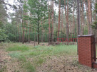 Działka inwestycyjna Siestrzeń gm. Żabia Wola, - 10