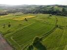 Działka rolka POMOCNE 3,25 ha - 7