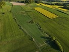 Działka rolka POMOCNE 3,25 ha - 11