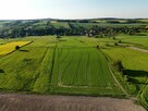 Działka rolka POMOCNE 3,25 ha - 2