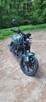 Benelli Leoncino 125cc 2024 - 6