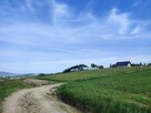 Działka Budowlana cisza, spokój, piękne widoki - 3