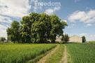 Na sprzedaż piękne siedlisko w Sokoligórze - 13