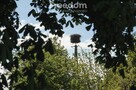 Na sprzedaż piękne siedlisko w Sokoligórze - 14