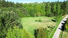 Wyjątkowa działka 9 000 m2 - Wilczany, gmina Iława - 4