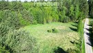 Wyjątkowa działka 9 000 m2 - Wilczany, gmina Iława - 8
