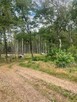 Działka budowlana Klotyldzin gm. Margonin - 2