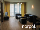 Angel Plaza, Zwierzyniecka, 60m2, balkon, klima, jacuzzi, siłownia, parking - 5