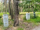 Działka budowlana pod lasem sosnowym Złotokłos - 10