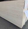 Sklejka topolowa surowa różne grubości - 2