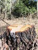 SURVIVAL Z RODZICEM pod W-wą! - 11