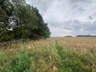 Syndyk sprzeda ½ udziału w nieruchomości gruntowej - 5
