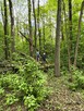 SURVIVAL Z RODZICEM pod W-wą! - 7