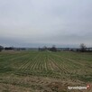 Działka budowlano-rolna uzbrojona pow. 4403m2 - 11