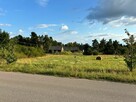 Działka budowlana 1000 m2, Poniatowo, 75 000 zł - 2