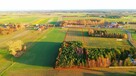 Okolice Ślesina – Działki Budowlane z Warunkami zabudowy - 5