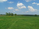 Tanio sprzedam gospodarstwo rolne - 9