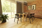 Apartament o funkcji domu w centrum Poznania - 2