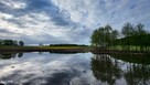 1,56ha DZIAŁKA BUDOWLANA ZE STAWEM 35min od Gdańsk - 6