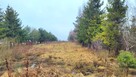 Działka mieszkalno - usługowa w Gościcinie - 3