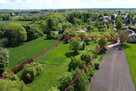 Siedlisko 5000m2 w malowniczym otoczeniu - 3