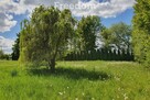 Siedlisko 5000m2 w malowniczym otoczeniu - 15