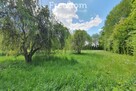 Siedlisko 5000m2 w malowniczym otoczeniu - 16