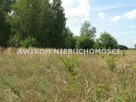Działka rolna Esterka gm. Nowy Kawęczyn - 3